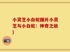 小灵芝小白蛇图片小灵芝与小白蛇：神奇之旅)