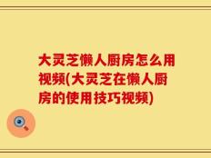 大灵芝懒人厨房怎么用视频(大灵芝在懒人厨房的使用技巧视频)