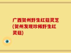 广西贺州野生红菇灵芝(贺州发现珍稀野生红灵菇)