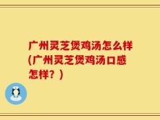 广州灵芝煲鸡汤怎么样(广州灵芝煲鸡汤口感怎样？)