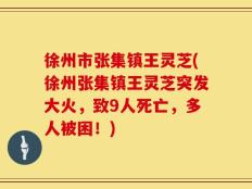 徐州市张集镇王灵芝(徐州张集镇王灵芝突发大火，致9人死亡，多人被困！)