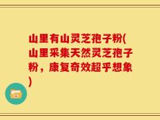山里有山灵芝孢子粉(山里采集天然灵芝孢子粉，康复奇效超乎想象)