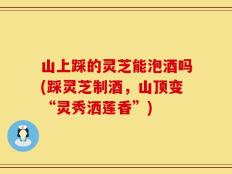 山上踩的灵芝能泡酒吗(踩灵芝制酒，山顶变“灵秀洒莲香”)