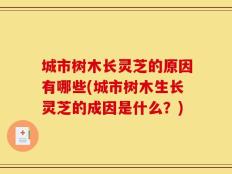 城市树木长灵芝的原因有哪些(城市树木生长灵芝的成因是什么？)