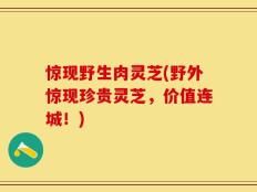 惊现野生肉灵芝(野外惊现珍贵灵芝，价值连城！)