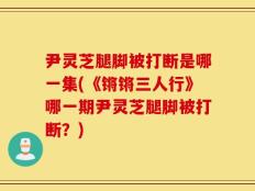 尹灵芝腿脚被打断是哪一集(《锵锵三人行》哪一期尹灵芝腿脚被打断？)
