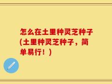 怎么在土里种灵芝种子(土里种灵芝种子，简单易行！)