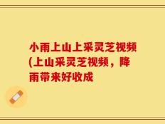 小雨上山上采灵芝视频(上山采灵芝视频，降雨带来好收成