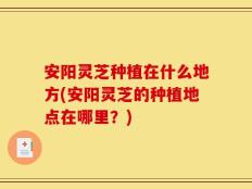 安阳灵芝种植在什么地方(安阳灵芝的种植地点在哪里？)