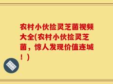 农村小伙捡灵芝菌视频大全(农村小伙捡灵芝菌，惊人发现价值连城！)