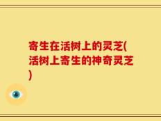 寄生在活树上的灵芝(活树上寄生的神奇灵芝)