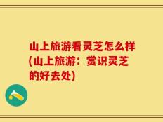 山上旅游看灵芝怎么样(山上旅游：赏识灵芝的好去处)