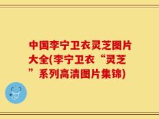 中国李宁卫衣灵芝图片大全(李宁卫衣“灵芝”系列高清图片集锦)