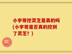 小宇哥挖灵芝是真的吗(小宇哥是否真的挖到了灵芝？)