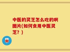 中医的灵芝怎么吃的啊图片(如何食用中医灵芝？)