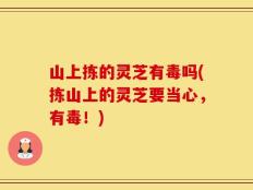 山上拣的灵芝有毒吗(拣山上的灵芝要当心，有毒！)
