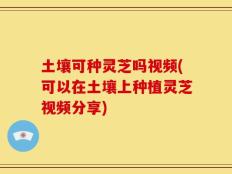 土壤可种灵芝吗视频(可以在土壤上种植灵芝视频分享)