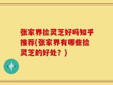 张家界捡灵芝好吗知乎推荐(张家界有哪些捡灵芝的好处？)