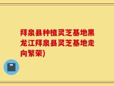 拜泉县种植灵芝基地黑龙江拜泉县灵芝基地走向繁荣)