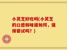 小灵芝好吃吗(小灵芝的口感和味道如何，值得尝试吗？)