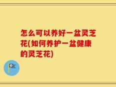 怎么可以养好一盆灵芝花(如何养护一盆健康的灵芝花)