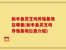 新丰县灵芝鸡养殖基地在哪里(新丰县灵芝鸡养殖基地位置介绍)