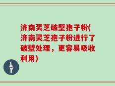 济南灵芝破壁孢子粉(济南灵芝孢子粉进行了破壁处理，更容易吸收利用)