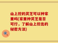 山上挖的灵芝可以种家里吗(家里种灵芝是否可行，了解山上挖出的秘密方法)