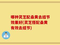 哪种灵芝配桑黄去结节效果好(灵芝搭配桑黄有效去结节)