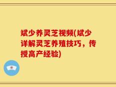 斌少养灵芝视频(斌少详解灵芝养殖技巧，传授高产经验)