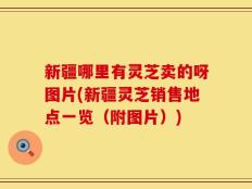 新疆哪里有灵芝卖的呀图片(新疆灵芝销售地点一览（附图片）)