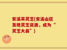 安溪采灵芝(安溪山区发现灵芝资源，成为“灵芝大县”)