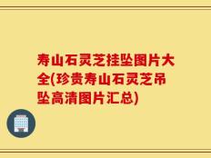 寿山石灵芝挂坠图片大全(珍贵寿山石灵芝吊坠高清图片汇总)