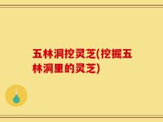 五林洞挖灵芝(挖掘五林洞里的灵芝)