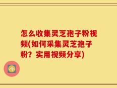 怎么收集灵芝孢子粉视频(如何采集灵芝孢子粉？实用视频分享)
