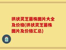 拱状灵芝菌株图片大全及价格(拱状灵芝菌株图片及价格汇总)