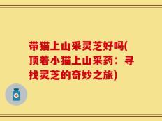 带猫上山采灵芝好吗(顶着小猫上山采药：寻找灵芝的奇妙之旅)