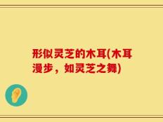 形似灵芝的木耳(木耳漫步，如灵芝之舞)