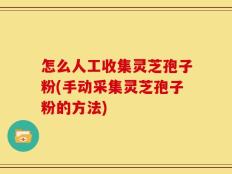 怎么人工收集灵芝孢子粉(手动采集灵芝孢子粉的方法)