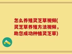 怎么养殖灵芝草视频(灵芝草养殖方法视频，助您成功种植灵芝草)