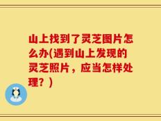 山上找到了灵芝图片怎么办(遇到山上发现的灵芝照片，应当怎样处理？)