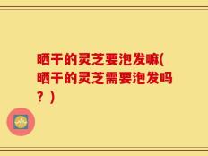 晒干的灵芝要泡发嘛(晒干的灵芝需要泡发吗？)