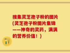 搜集灵芝孢子粉的图片(灵芝孢子粉图片集锦——神奇的灵药，满满的营养价值！)
