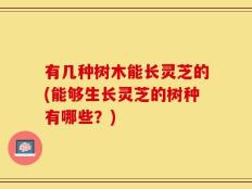 有几种树木能长灵芝的(能够生长灵芝的树种有哪些？)