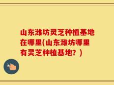 山东潍坊灵芝种植基地在哪里(山东潍坊哪里有灵芝种植基地？)