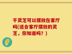 干灵芝可以摆放在客厅吗(适合客厅摆放的灵芝，你知道吗？)