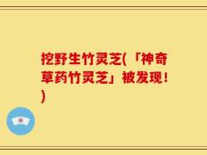 挖野生竹灵芝(「神奇草药竹灵芝」被发现！)