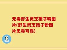 无毒野生灵芝孢子粉图片(野生灵芝孢子粉图片无毒可靠)