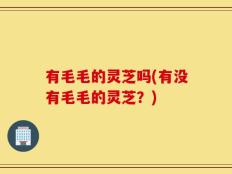 有毛毛的灵芝吗(有没有毛毛的灵芝？)