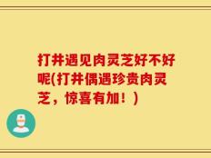 打井遇见肉灵芝好不好呢(打井偶遇珍贵肉灵芝，惊喜有加！)